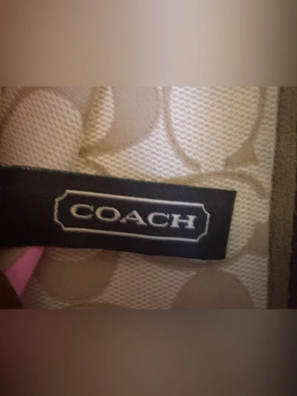 Authentic Coach 100% Silk Scarf Twilly Pink Stripe Monogram Quiet Luxury NWOT